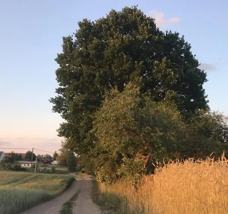 Ranczo Kowalskich Kemping Karsin